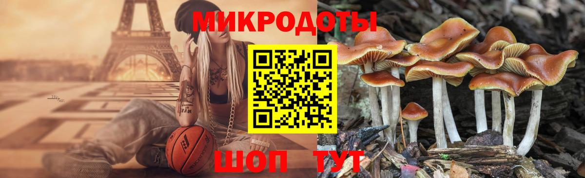 Галлюциногенные грибы ЛСД  купить наркоту  Галлюциногенные грибы Psilocybe  Азнакаево  Вход с VPN 